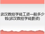 武汉数控学徒工资一般多少钱(武汉数控学徒薪资)