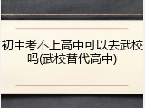 初中考不上高中可以去武校吗(武校替代高中)