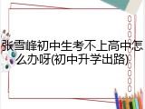 张雪峰初中生考不上高中怎么办呀(初中升学出路)