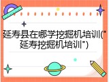 延寿县在哪学挖掘机培训("延寿挖掘机培训")