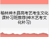 榆林神木县高考艺考生文化课补习班推荐(神木艺考文化补习)