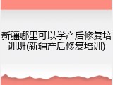 新疆哪里可以学产后修复培训班(新疆产后修复培训)