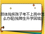 肢体残疾孩子考不上高中怎么办呢(残障生升学困境)