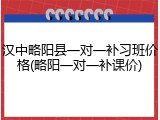 汉中略阳县一对一补习班价格(略阳一对一补课价)