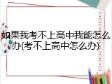 如果我考不上高中我能怎么办(考不上高中怎么办)