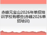 赤峰元宝山2026年单招培训学校有哪些(赤峰2026单招培训)