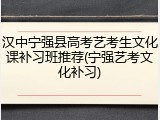 汉中宁强县高考艺考生文化课补习班推荐(宁强艺考文化补习)