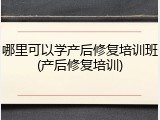 哪里可以学产后修复培训班(产后修复培训)
