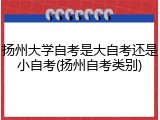 扬州大学自考是大自考还是小自考(扬州自考类别)