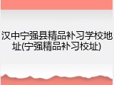 汉中宁强县精品补习学校地址(宁强精品补习校址)