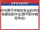 忻州原平学数控专业的学校有哪些职中生(原平职中数控专业)