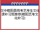 汉中略阳县高考艺考生文化课补习班推荐(略阳艺考文化补习)