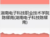湖南电子科技职业技术学院陈耀南(湖南电子科技陈耀南)