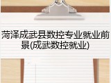 菏泽成武县数控专业就业前景(成武数控就业)