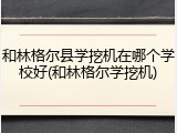 和林格尔县学挖机在哪个学校好(和林格尔学挖机)