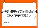 大悟县哪里有学挖掘机的地方(大悟学挖掘机)
