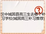 汉中城固县高三生去哪个补习学校(城固高三补习推荐)