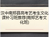 汉中南郑县高考艺考生文化课补习班推荐(南郑艺考文化班)