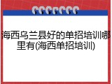 海西乌兰县好的单招培训哪里有(海西单招培训)