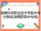 湖南科技职业技术学院中专分数线(湖南职院中专线)