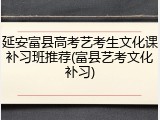 延安富县高考艺考生文化课补习班推荐(富县艺考文化补习)