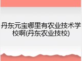 丹东元宝哪里有农业技术学校啊(丹东农业技校)