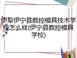 伊犁伊宁县数控模具技术学校怎么样(伊宁县数控模具学校)