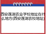 西安莲湖农业学校地址在什么地方(西安莲湖农校地址)