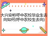 大兴安岭呼中农校毕业生去向如何(呼中农校生去向)