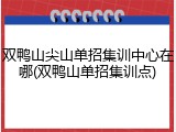 双鸭山尖山单招集训中心在哪(双鸭山单招集训点)