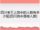 四川考不上高中的人数有多少呢(四川高中落榜人数)