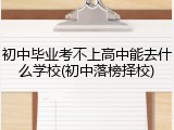 初中毕业考不上高中能去什么学校(初中落榜择校)
