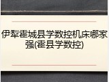 伊犁霍城县学数控机床哪家强(霍县学数控)