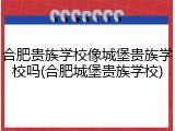 合肥贵族学校像城堡贵族学校吗(合肥城堡贵族学校)