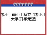 考不上高中上私立也考不上大学(升学无望)