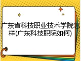 广东省科技职业技术学院怎样(广东科技职院如何)
