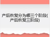 产后恢复分为哪三个阶段(产后恢复三阶段)