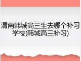 渭南韩城高三生去哪个补习学校(韩城高三补习)