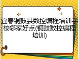 宜春铜鼓县数控编程培训学校哪家好点(铜鼓数控编程培训)