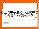 初三的中学生考不上高中怎么办呢(中考落榜出路)