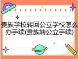 贵族学校转回公立学校怎么办手续(贵族转公立手续)