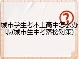 城市学生考不上高中怎么办呢(城市生中考落榜对策)