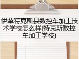 伊犁特克斯县数控车加工技术学校怎么样(特克斯数控车加工学校)