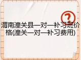 渭南潼关县一对一补习班价格(潼关一对一补习费用)