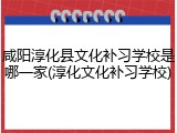 咸阳淳化县文化补习学校是哪一家(淳化文化补习学校)