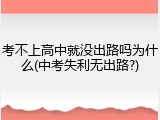 考不上高中就没出路吗为什么(中考失利无出路?)