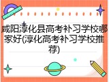 咸阳淳化县高考补习学校哪家好(淳化高考补习学校推荐)