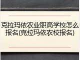 克拉玛依农业职高学校怎么报名(克拉玛依农校报名)
