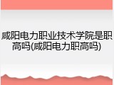 咸阳电力职业技术学院是职高吗(咸阳电力职高吗)