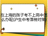 在上海的孩子考不上高中怎么办呢(沪生中考落榜对策)